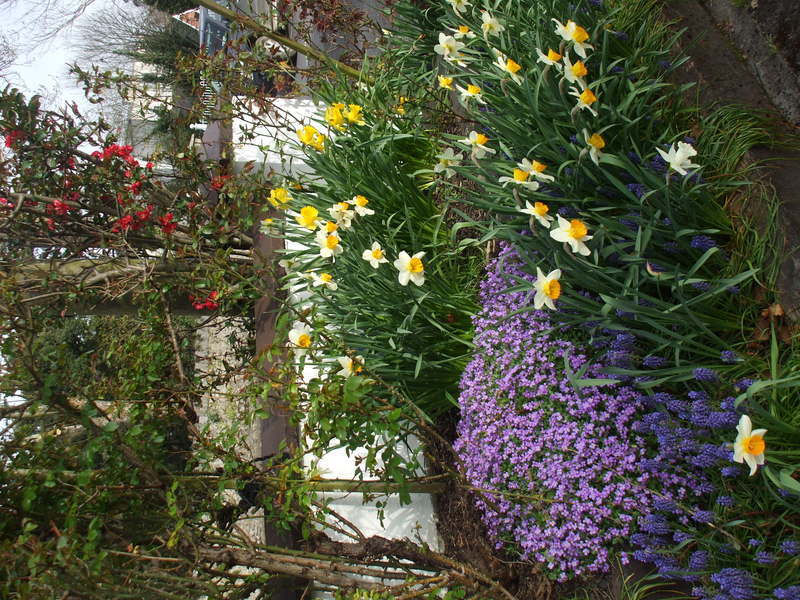 Mena House Hotell Kilkenny Exteriör bild