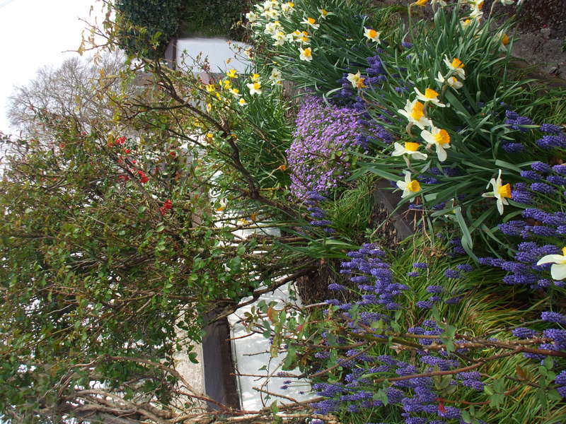 Mena House Hotell Kilkenny Exteriör bild