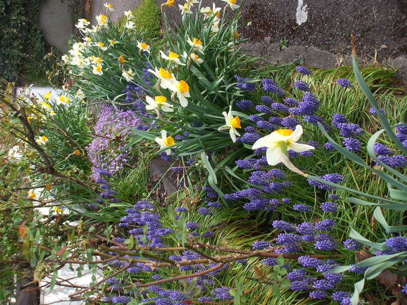 Mena House Hotell Kilkenny Exteriör bild